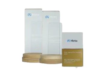 Meta Agency First Awards 2024-2025